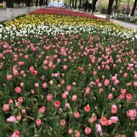 評論圖片 4
