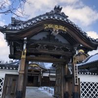 評論圖片 7