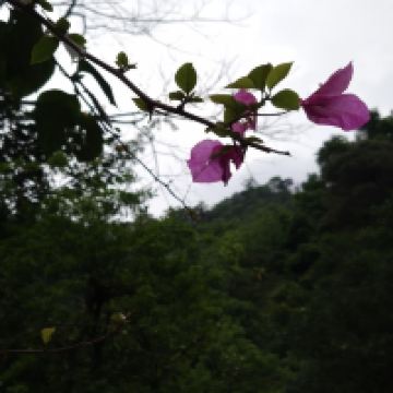 評論圖片 3