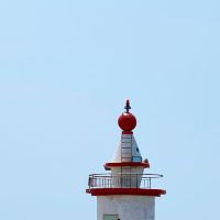 評論圖片 4