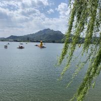 評論圖片 4