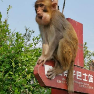 評論圖片 3