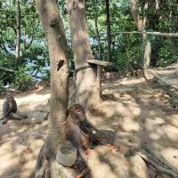 評論圖片 5