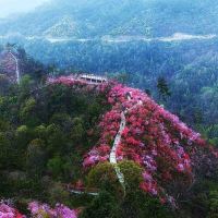評論圖片 3