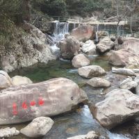 評論圖片 9