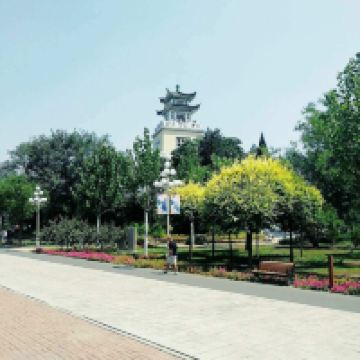 評論圖片 2