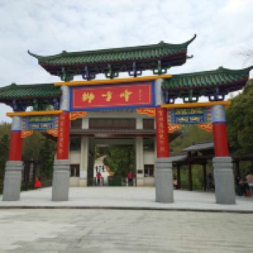 評論圖片 6