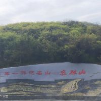 評論圖片 1