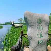評論圖片 2
