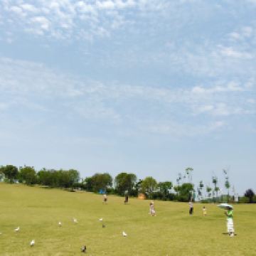 評論圖片 2