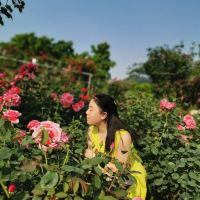 評論圖片 6