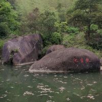 評論圖片 7