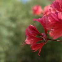 評論圖片 3