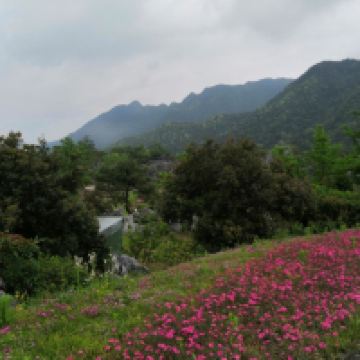 評論圖片 6