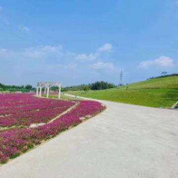 評論圖片 5