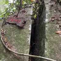 評論圖片 3