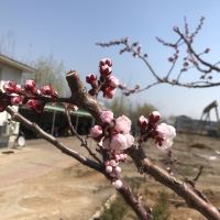 評論圖片 3