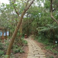 評論圖片 6