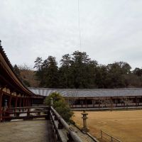 評論圖片 2