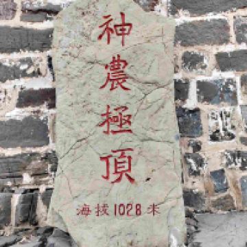 評論圖片 6