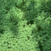 評論圖片 3