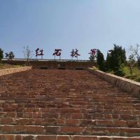 評論圖片 1
