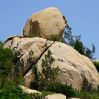 評論圖片 6