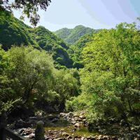 評論圖片 9