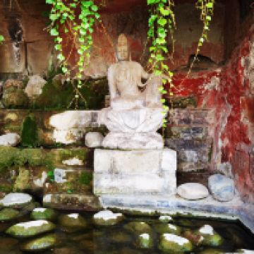 評論圖片 6