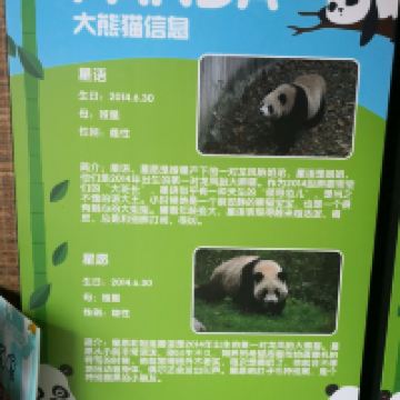 評論圖片 7