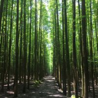 評論圖片 4