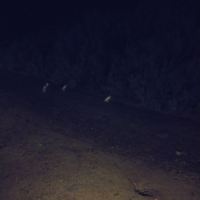 評論圖片 1