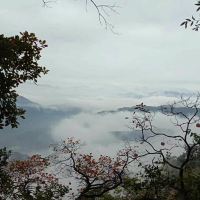 評論圖片 1