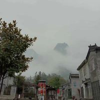 評論圖片 3
