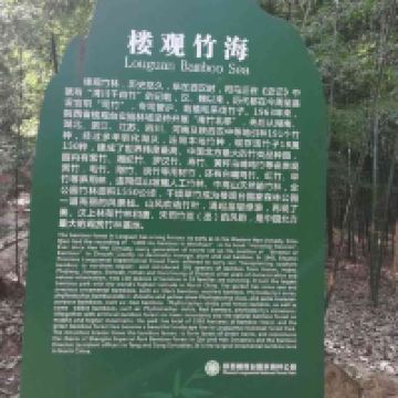 評論圖片 4