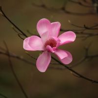 評論圖片 2
