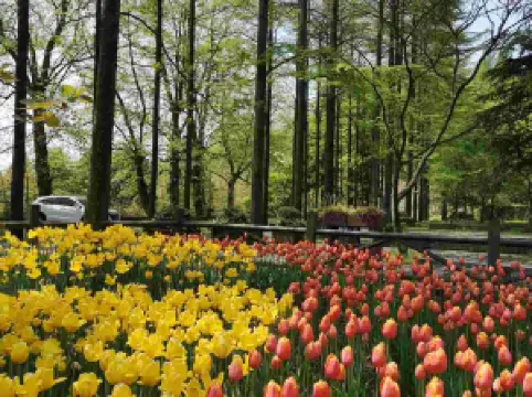 Top 10 Spring Outings in Deqing