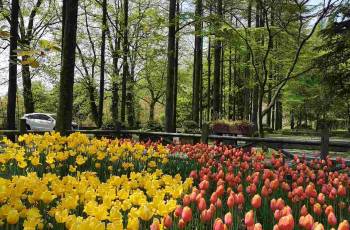 Popular Spring Outings in Huzhou