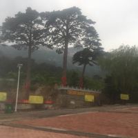 評論圖片 1