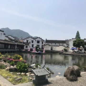 評論圖片 8