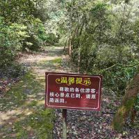 評論圖片 3