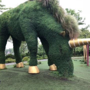 評論圖片 6