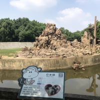 評論圖片 1