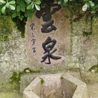 評論圖片 7