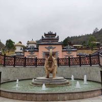 評論圖片 1