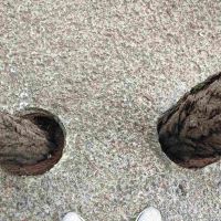 評論圖片 3
