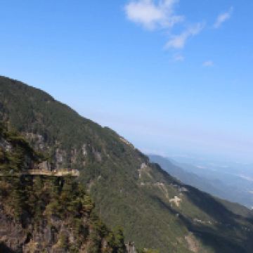 評論圖片 8