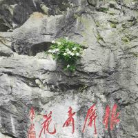 評論圖片 3