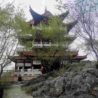 評論圖片 1