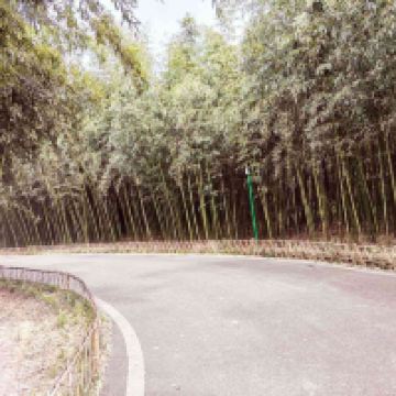 評論圖片 4